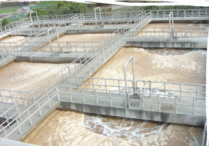 Monitoring Dissolved Oxygen